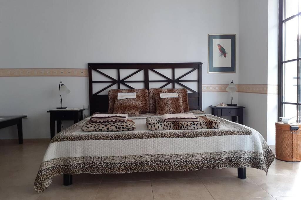 Studio At "The Cliff" Complex South Beach Obzor, Private Appartment A2A5 Exterior photo